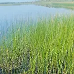 Lakeside Carrowmoreknock