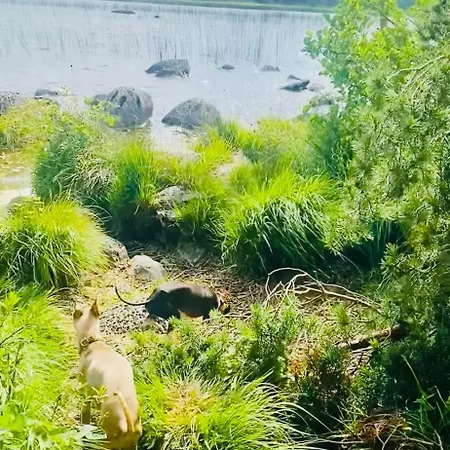 Lakeside Lägenhet Carrowmoreknock