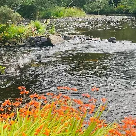 Lakeside * Carrowmoreknock