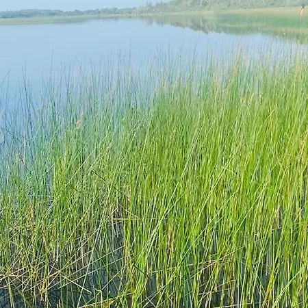 Lakeside Carrowmoreknock