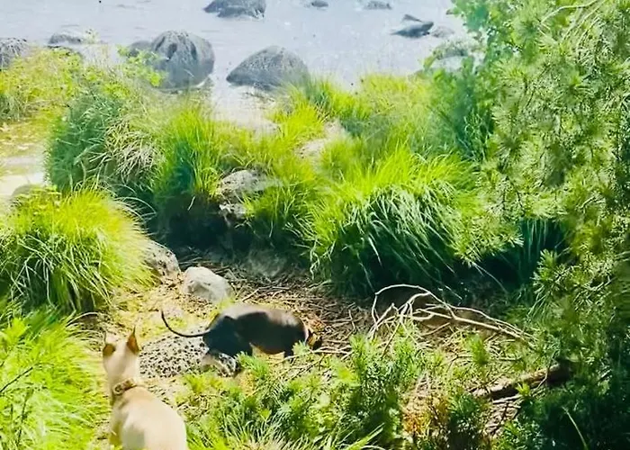 Lakeside アパート Carrowmoreknock