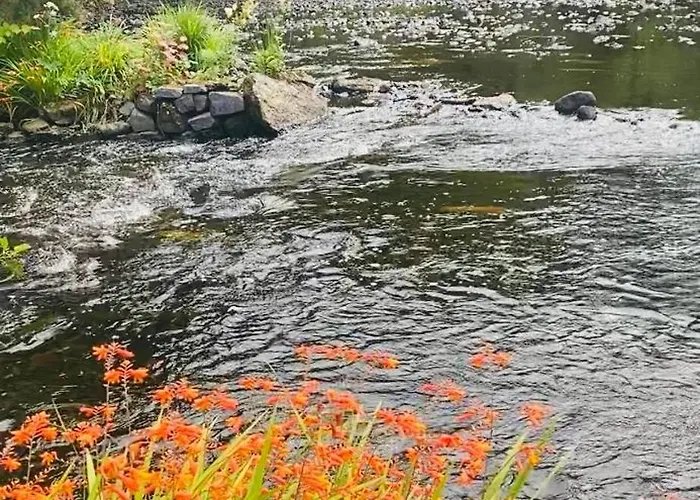 Lakeside * Carrowmoreknock