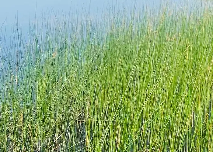 Lakeside Carrowmoreknock